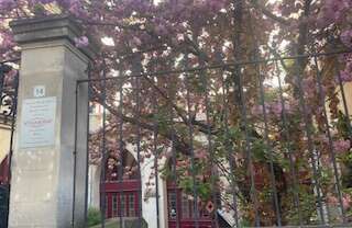 Formation LES FONDAMENTAUX DE METAFORMIE